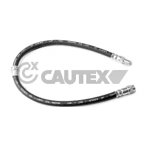 756019 CAUTEX