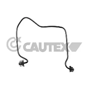 771633 CAUTEX