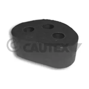480629 CAUTEX