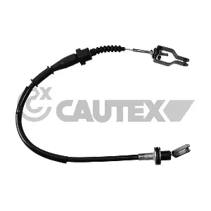 069012 CAUTEX