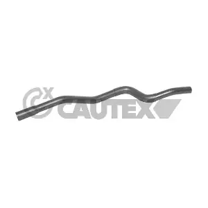 036414 CAUTEX