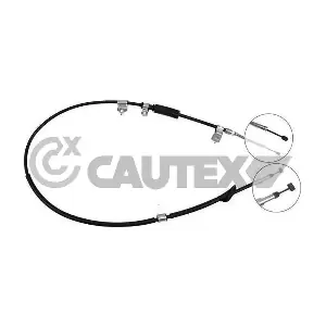 238013 CAUTEX