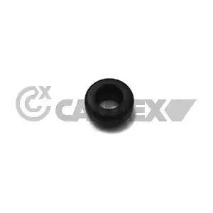 010719 CAUTEX