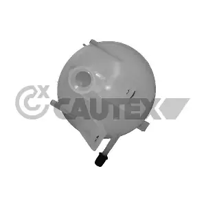 081015 CAUTEX