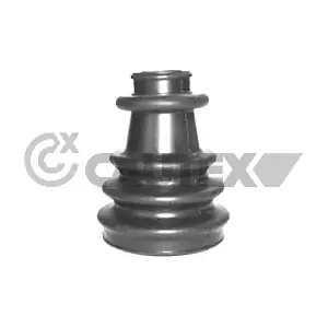 020256 CAUTEX