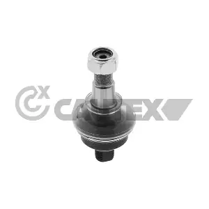 774150 CAUTEX