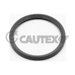 773503 CAUTEX