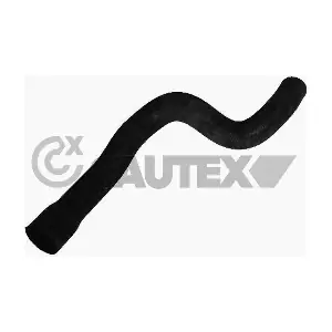 486522 CAUTEX