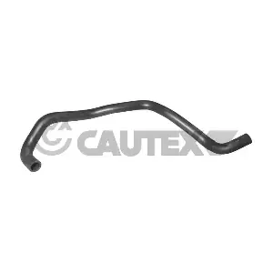 036225 CAUTEX