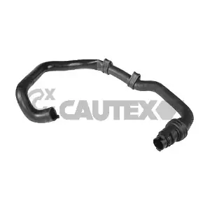 036050 CAUTEX