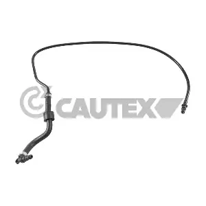 765545 CAUTEX