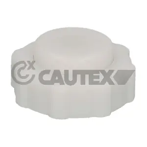 954078 CAUTEX
