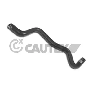 021231 CAUTEX