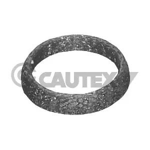 954200 CAUTEX