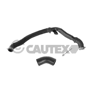 CAUTEX 773568