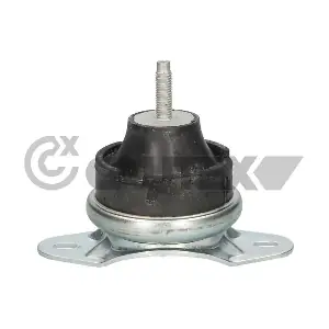 031495 CAUTEX