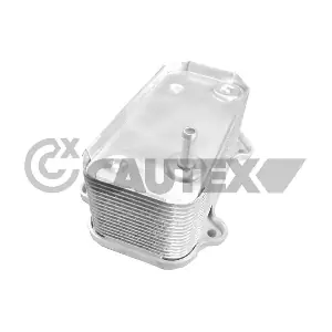 772185 CAUTEX
