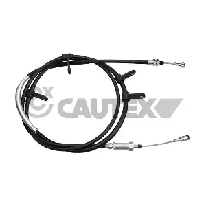 019046 CAUTEX