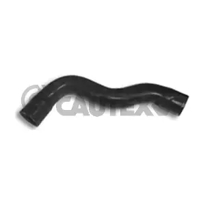 036446 CAUTEX