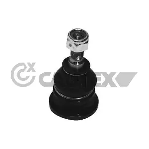 755054 CAUTEX