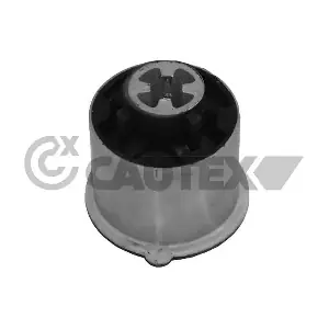 081250 CAUTEX