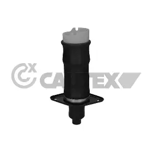 753508 CAUTEX