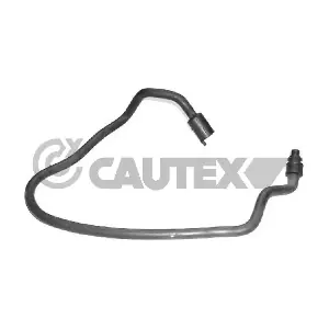 036143 CAUTEX
