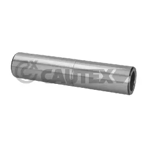 031443 CAUTEX