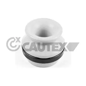 769951 CAUTEX