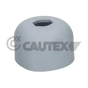CAUTEX 776490