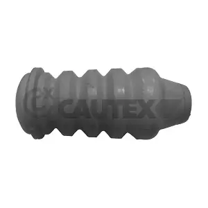 081230 CAUTEX