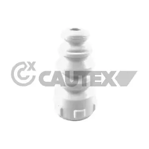 462446 CAUTEX