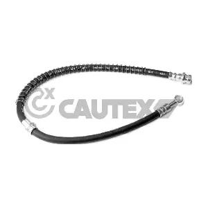 756034 CAUTEX