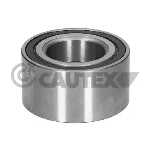 769293 CAUTEX