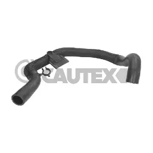 CAUTEX 773569 Шланг радіатора