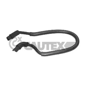 031142 CAUTEX