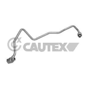 774754 CAUTEX