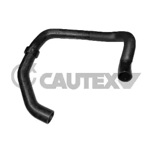 752683 CAUTEX