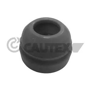 482508 CAUTEX
