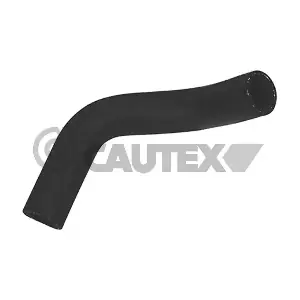 026818 CAUTEX