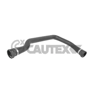 757901 CAUTEX