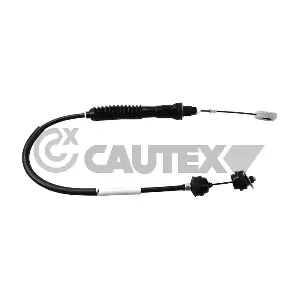 80019 CAUTEX