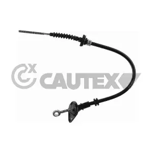 81104 CAUTEX