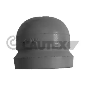 482507 CAUTEX