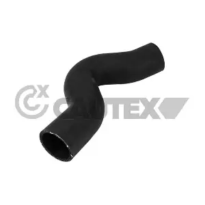 753047 CAUTEX