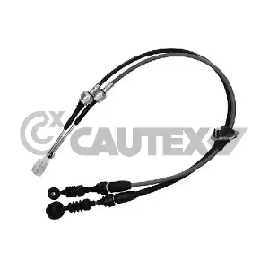 772571 CAUTEX