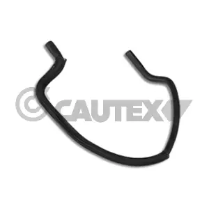036474 CAUTEX
