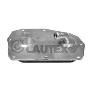 768817 CAUTEX