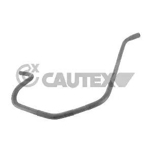 486529 CAUTEX