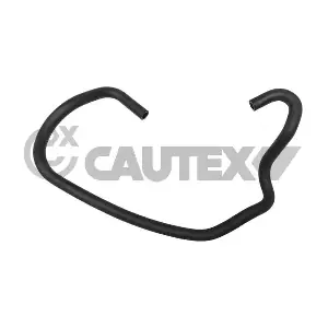 752915 CAUTEX